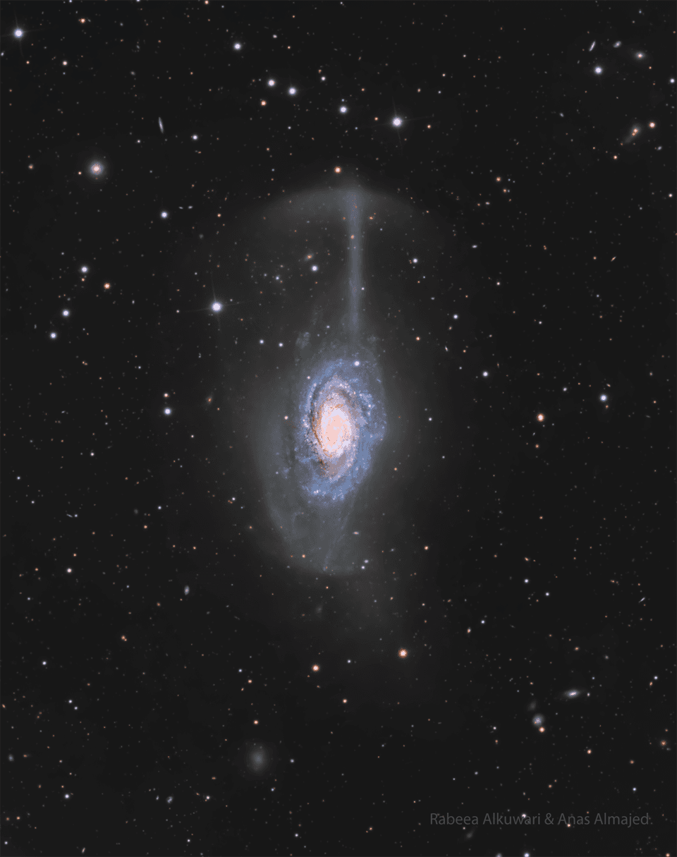 NGC 4651: The Umbrella Galaxy